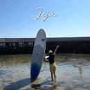 제주섬타임즈 | 제주 패들보드 패들요가 제주도 이색체험 추천, 텐타임즈