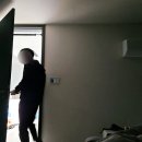 스테이인 1025 이미지