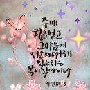 푸른교회 이미지