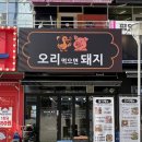 오리 먹으면 돼지 | 위례광장 맛집 ‘오리먹으면돼지’ 양념오리 제대로 먹고 온 후기
