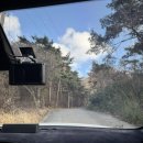 광산구-041 | [카페/보령] 갱스커피 :: 귀여운 고양이가 있는 보령의 통창 대형 카페(솔직 후기, 내돈내산)