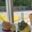 오씨브루잉커피 | 카시아 속초 근처 카페 추천 ㅣ 카페 & 디저트 맛집 총정리