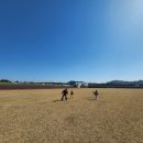 구좌체육공원 이미지