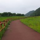 인삼골오토캠핑장 이미지