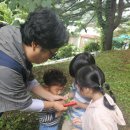 실내초병설유치원 이미지