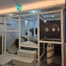 다이닝원 춘천점 이미지