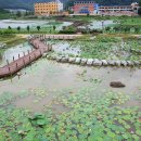 삼지수변공원 이미지