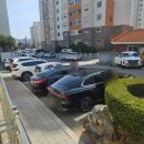 여월프라자 앞 육교 밑 | 당감동맛집 백양산 계란지단폭탄 부산김밥성지ㅣ김밥대통령