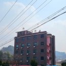 뉴파크장 이미지