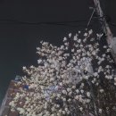 롯데리아신제주점 이미지