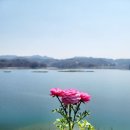 더대청호 이미지