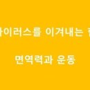 No.1 탑태권도장 이미지