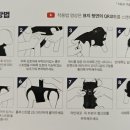 은해반려동물보조기 이미지