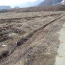 땅벗 공인중개사사무소 이미지