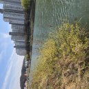 산하의물결 이미지