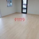 금성고등학교 이미지