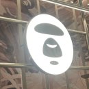 카모 | AAPE(에이프) 카모 하이넥 다운 자켓 실착 후기｜사이즈 팁부터 솔직한 단점까지