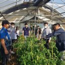 가평군농업기술센터 이미지