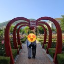 장미공원 주차장 입구 | 대구 이곡동 장미공원 향기의 유혹