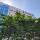 역사지도사 양성과정 이미지