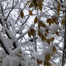 권선3공원 이미지