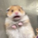 소중한eye 이미지