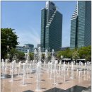 평촌중앙공원 이미지