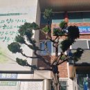 만덕3동 주민센터 이미지