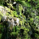 광산골식당 | 함박골 이끼폭포