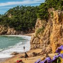 파도리 해수욕장 이미지