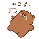 단콩 이미지