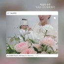 님flower | 캐논 빈티지 디카 익서스 285 @ha_uni222님의 대여 후기 및 익서스 285 작례