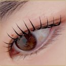 다인뷰티 - 안양시 만안구 | 다인뷰티