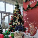 길상면사무소 이미지