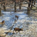 응봉농장 이미지