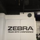 빅터 아카데미 주짓수 유도 이미지