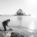 정남진장흥한우 이미지