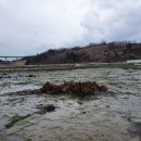 영등농장 이미지