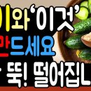 당뇨 혈당 관리, 아침마다 오이 이렇게 드세요! 오이의 효과로 혈당 건강 지키는 최강 조합 공개합니다. 이미지