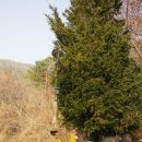 달건너농장 이미지