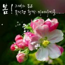 우리 늙어 가더라도 지난 세월에 너무 애착 말고 이미지