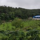 너래농원 네이버블로그