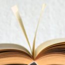 제주특별자치도청 이미지