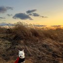 삼화4길 6-1 이미지