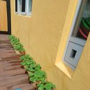 오라초등학교 병설유치원 이미지