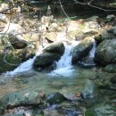 역골농장 이미지