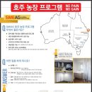 호주농장 이미지