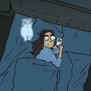 고양이 행복 쉼터 이미지