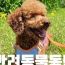 달103