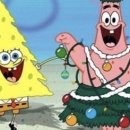 테디 케이짐 이미지